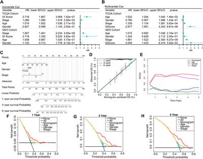 Development and validation of a combined glycolysis and immune prognostic signature for lung squamous cell carcinoma